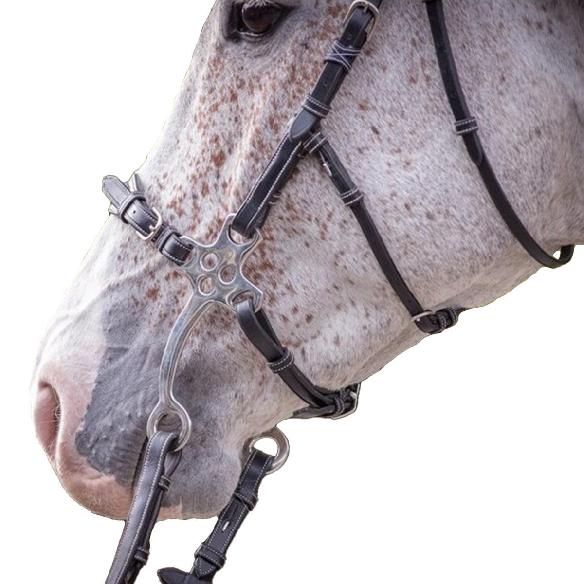 Jump'in Hackamore Bridle - Durable Horse Training Equipment for Western Riding & Trail Use | Week Collection