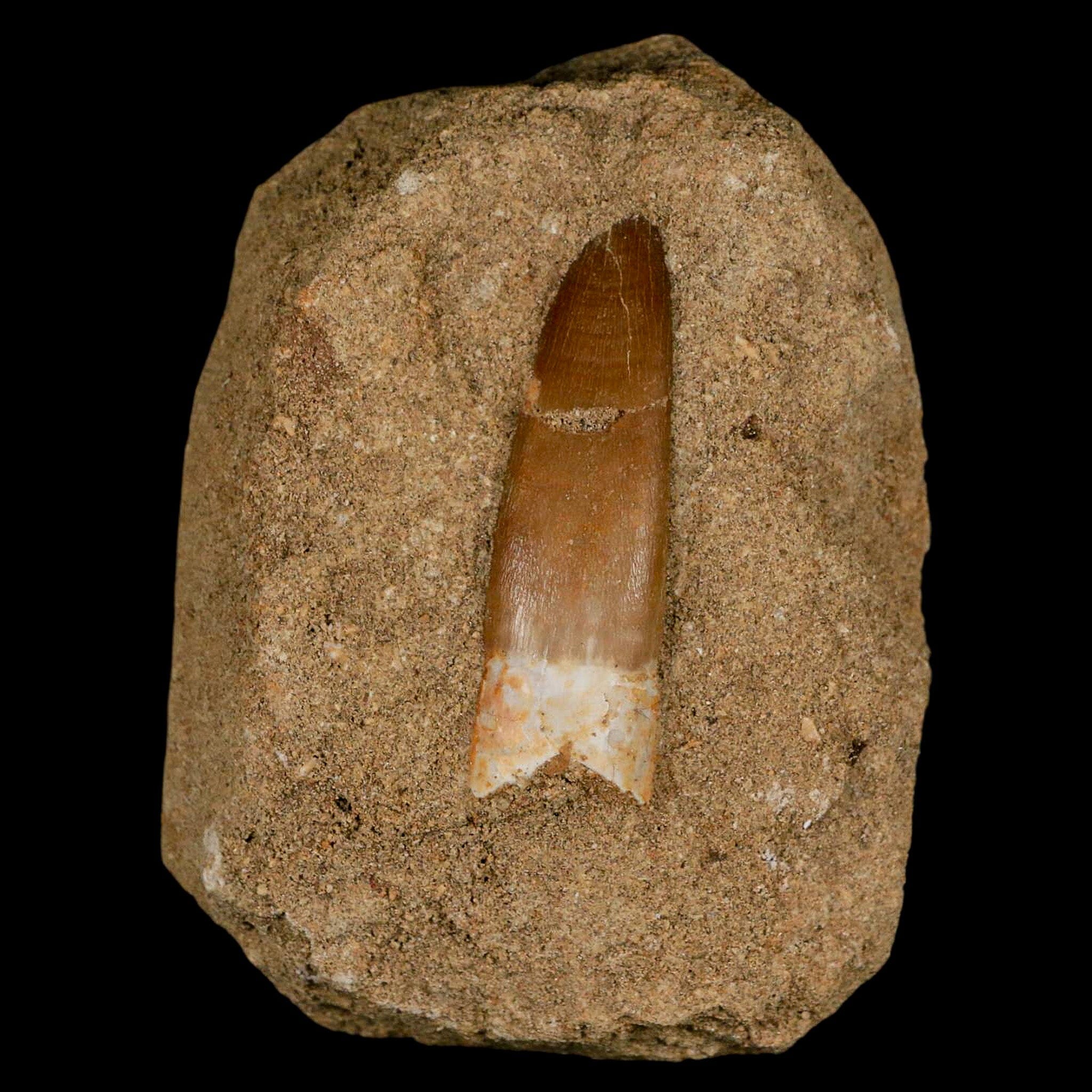1.9