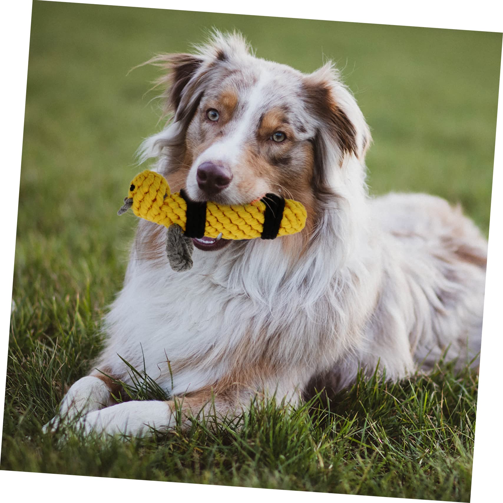 SUPVOX Bee Cotton Rope Chew Toy for Dogs - Durable Interactive Knot Toy for Puppy Training & Teeth Cleaning - Perfect for Playtime, Fetch Games, and Aggressive Chewers