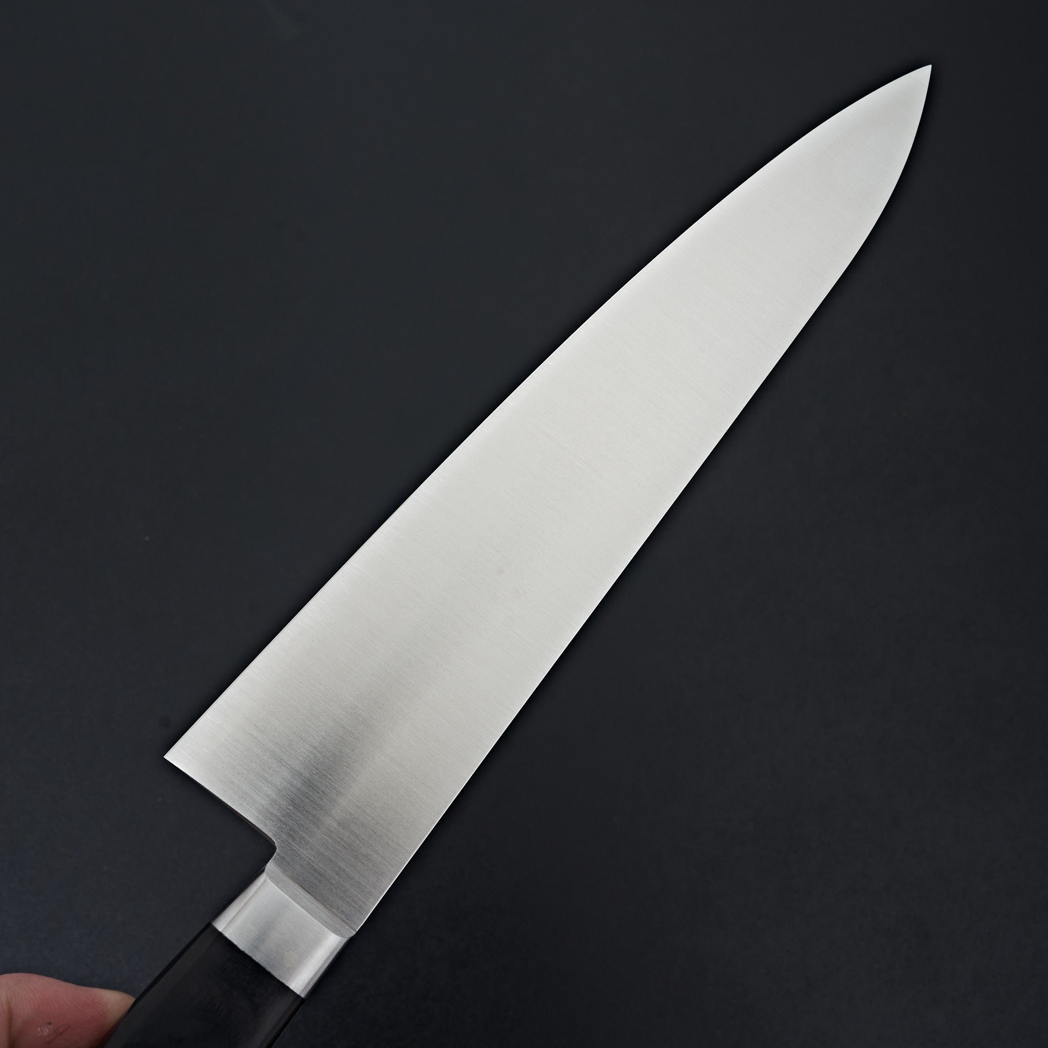 Premium Ashi Ginga 240mm Stainless Steel Western Gyuto Chef Knife - Professional Japanese Kitchen Knife for Slicing, Dicing & Meat Cutting