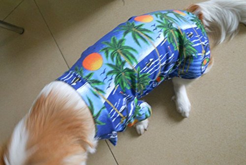 Hawaiian Beach Coconut Tree Print Dog Shirt - Summer Camp Pet Clothes for Small Dogs (Blue, Size S) - Perfect for Beach Outings, Vacation Photos & Summer Parties