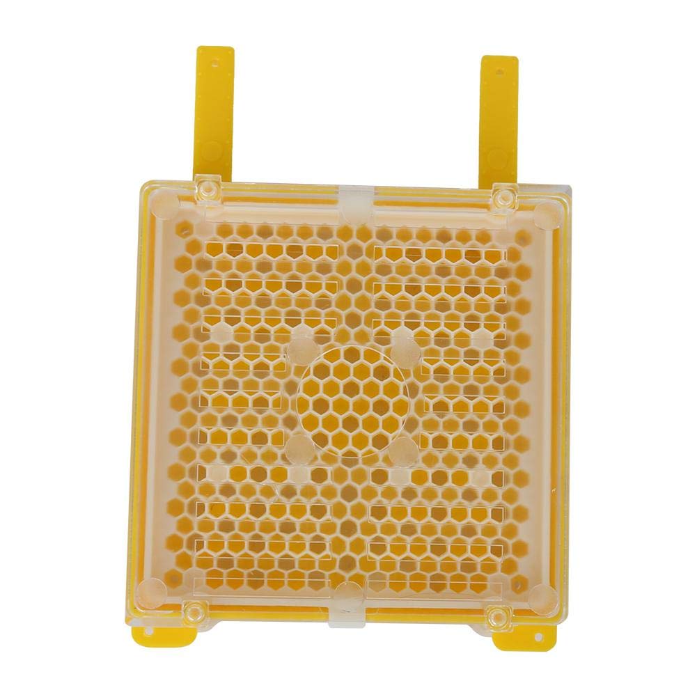 Queen Bee Rearing Kit - Plastic Queen Bee Breeding Set with Full Cell Package for Beekeepers | Beekeeping Supplies for Hive Management & Honey Production