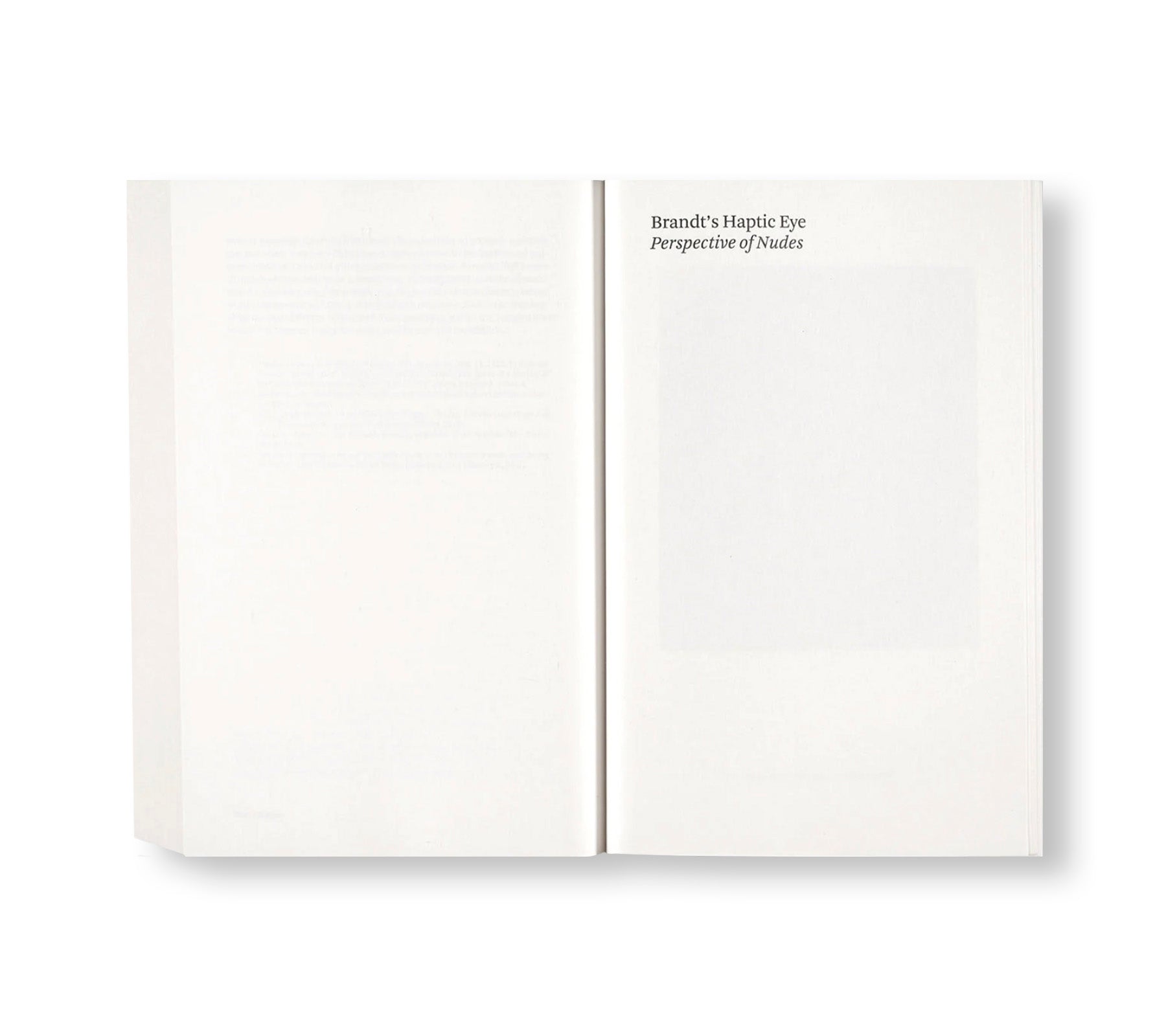 Painting Photography Painting: Selected Essays by Carol Armstrong - Art History Book for Artists, Photographers & Scholars - Perfect for Studio Inspiration & Academic Research