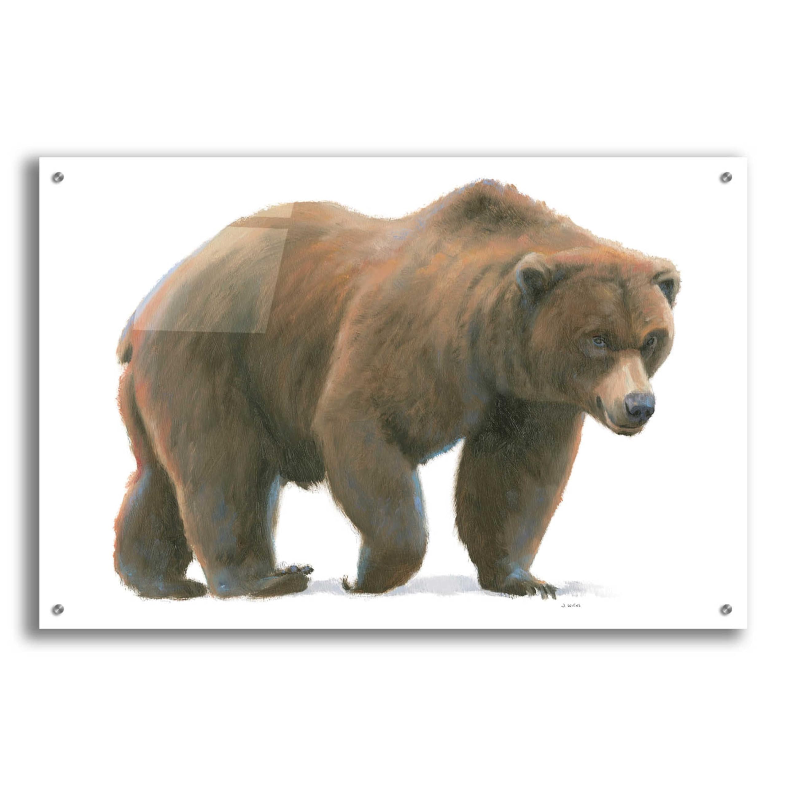 Epic Art 'Northern Wild I' by James Wiens - 36x24 Inch Acrylic Glass Wall Art Painting for Living Room, Bedroom & Office Decor
