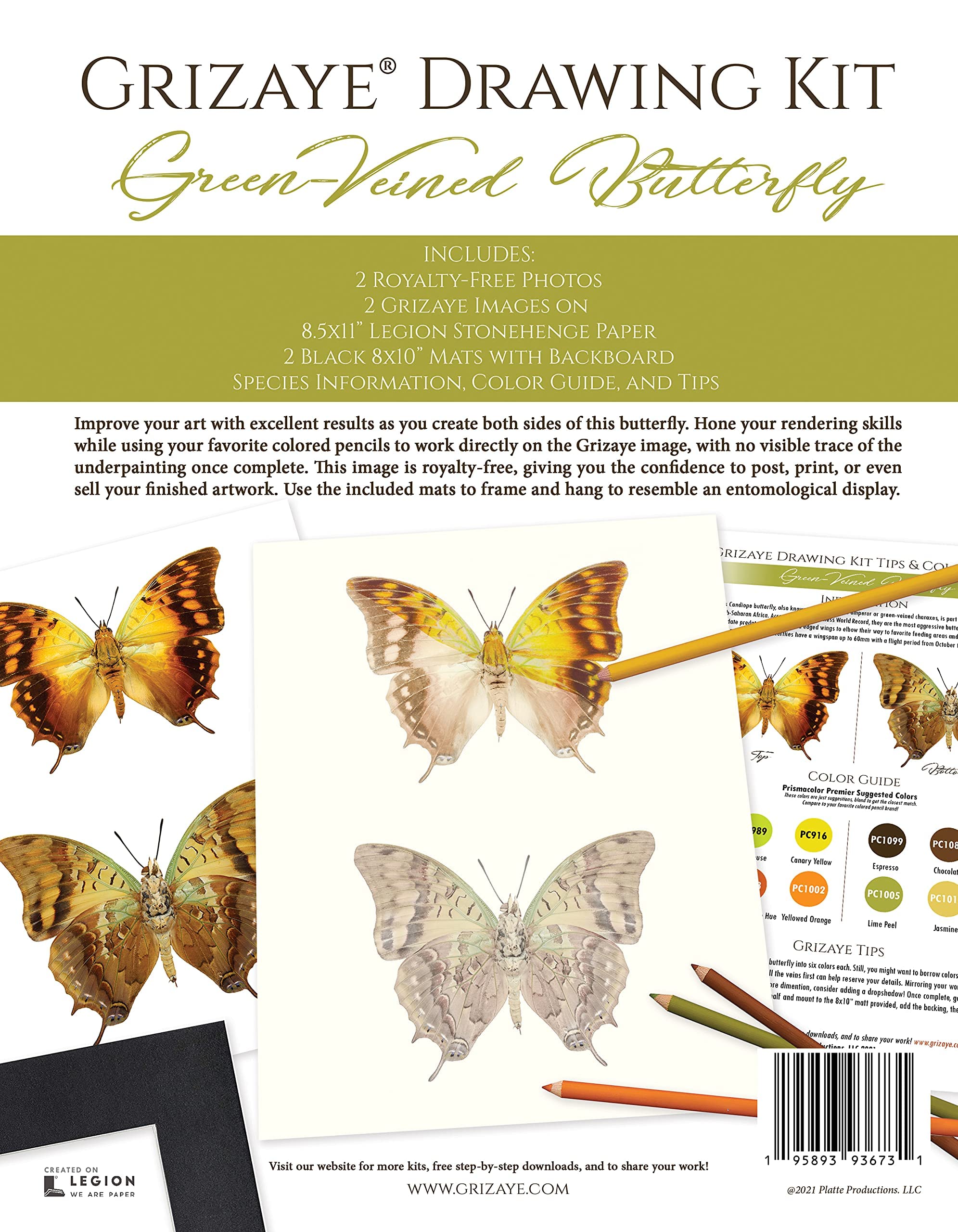 Grizaye Drawing Kit: Green-Veined Butterfly Art Set with Premium Colored Pencils for Beginners to Advanced Artists - Includes 2 High-Quality Images for Sketching Practice | Perfect for Art Classes, Home Creativity & Relaxation