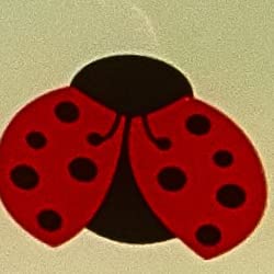 Red Lady Bug