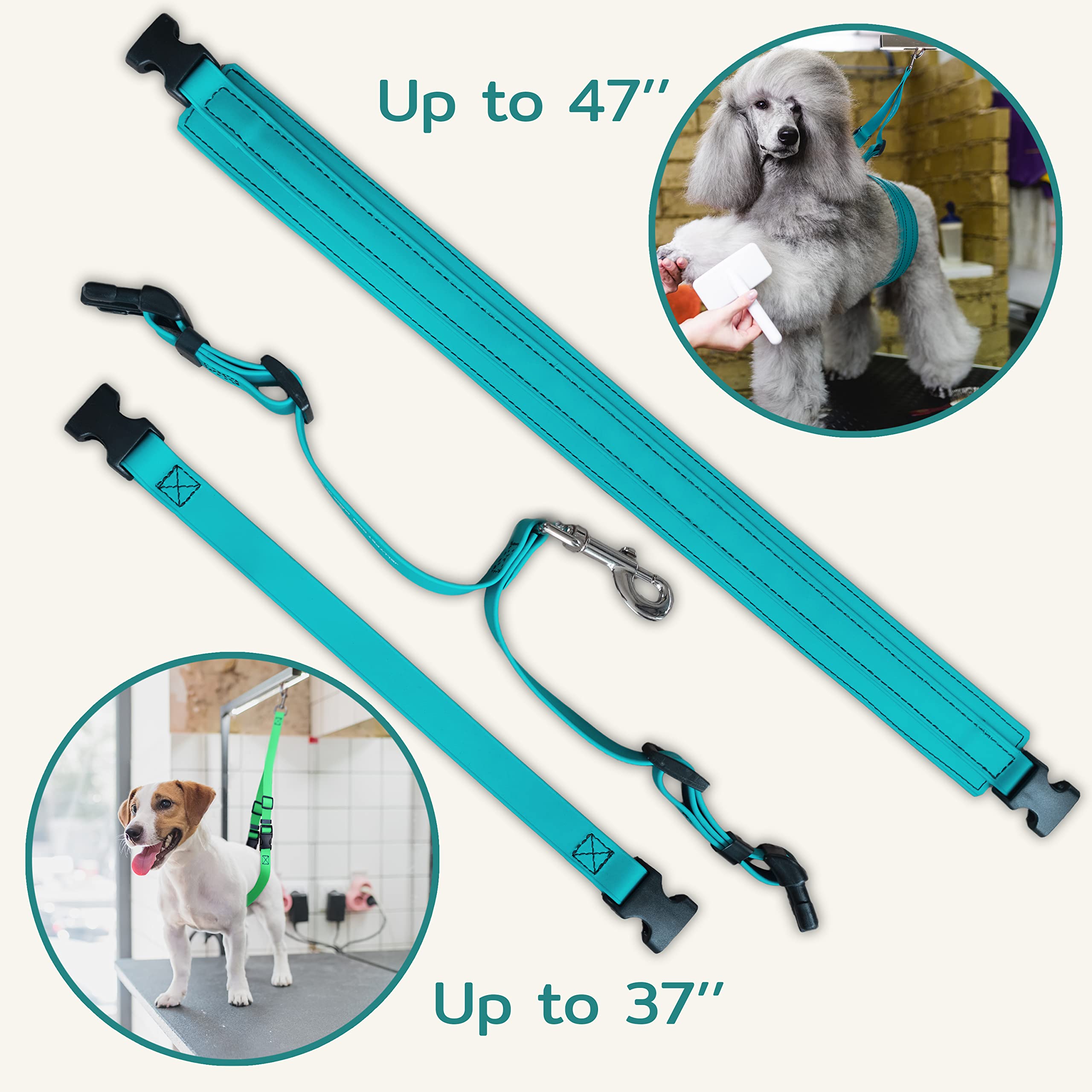 Waterproof Jelly Pet Dog Belly Loop Restraint for Grooming Table & Bath Tub - Easy Clean, Durable & Made in USA - Perfect for Professional Pet Grooming, Bathing & Vet Visits (Teal)