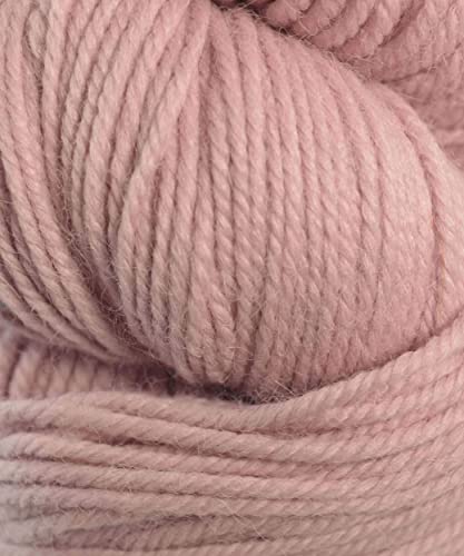 62114 Tea Rose
