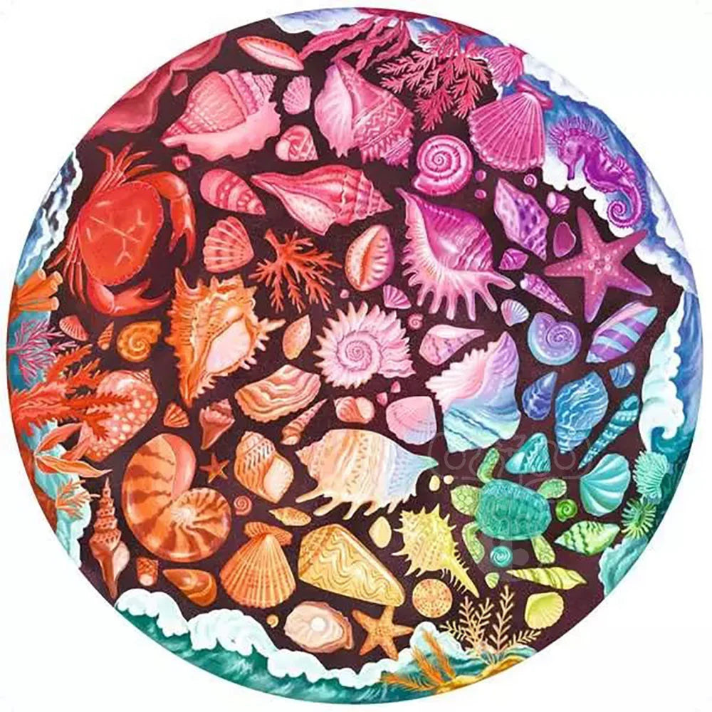 Circle of Colours: Seashells Pz500 - Beautiful Handmade Seashell Decor for Beach House & Coastal Home Decor | Perfect for Wall Art, Table Centerpiece, and Gift Ideas
