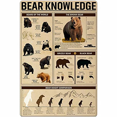 Bear Knowledge