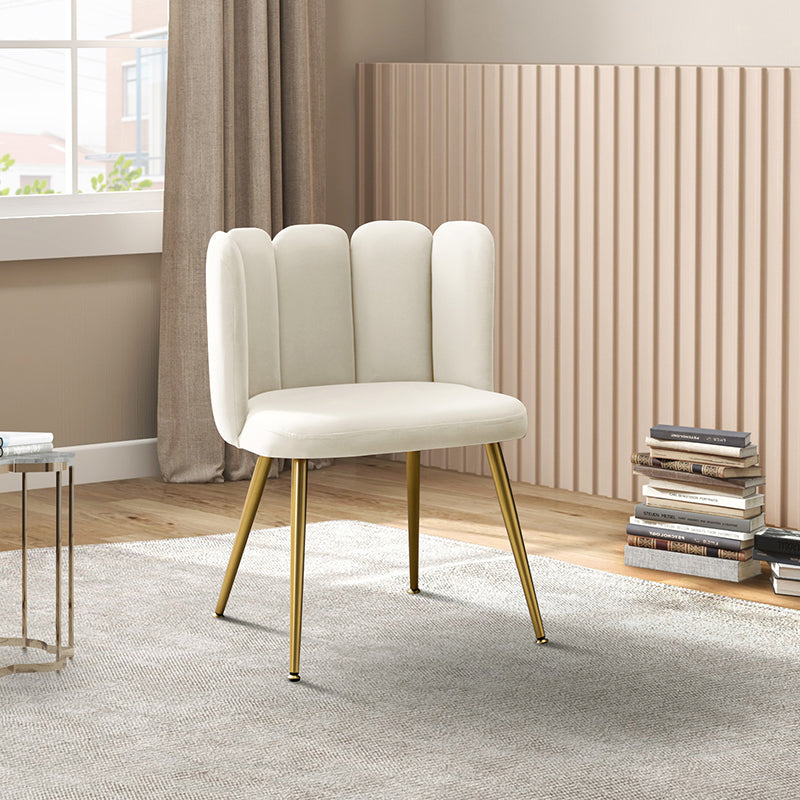 Elodia Side Chair - Modern Accent Chair for Dining Room, Living Room & Office - Sturdy Wooden Frame with Upholstered Seat - Perfect for Home Decor & Small Spaces