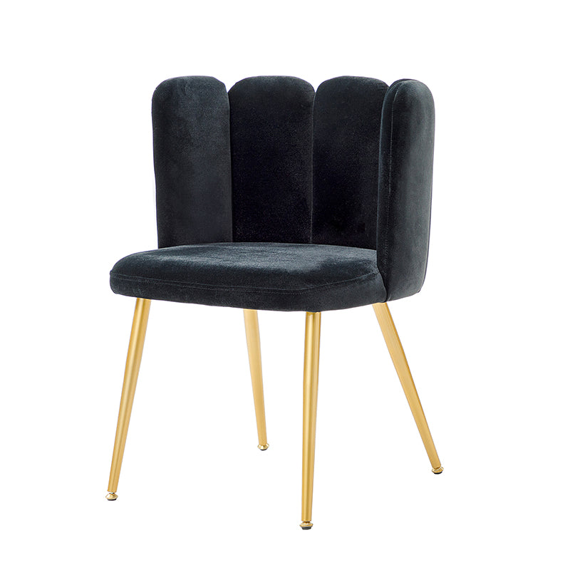 Elodia Side Chair - Modern Accent Chair for Dining Room, Living Room & Office - Sturdy Wooden Frame with Upholstered Seat - Perfect for Home Decor & Small Spaces