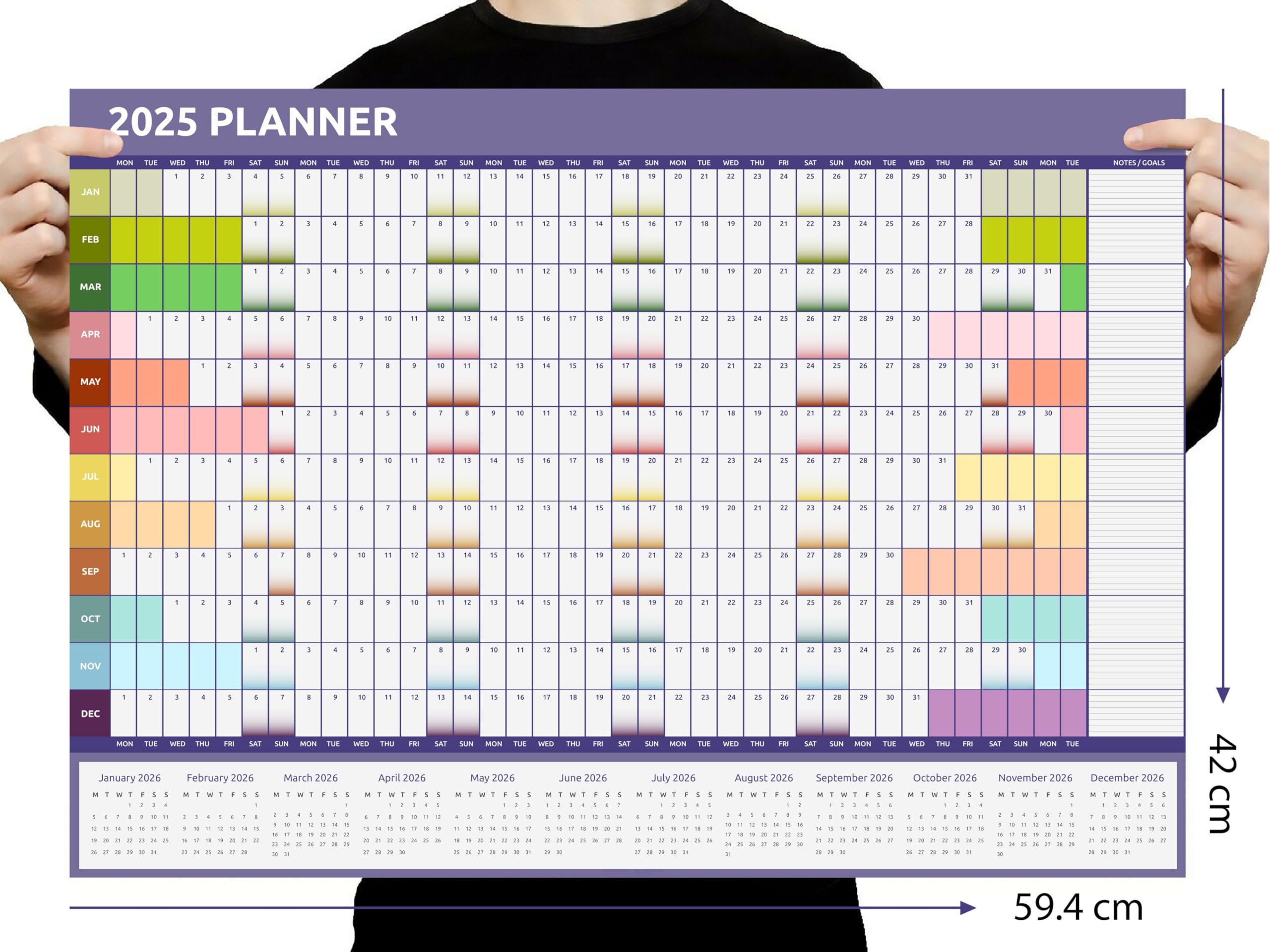 Evelay 2025 Wall Calendar Planner - A2 Size (59.4cm x 42cm) | Full Year at a Glance | Rainbow Color | Perfect for Home, Office, School & Work Planning | Wall Organization & Productivity Tool