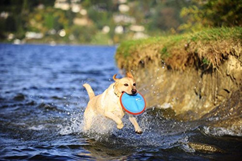 Paraflight Large Dog Toy - Pack of 3 Durable Flying Discs for Outdoor Fetch & Training | Perfect for Beach, Park & Backyard Play