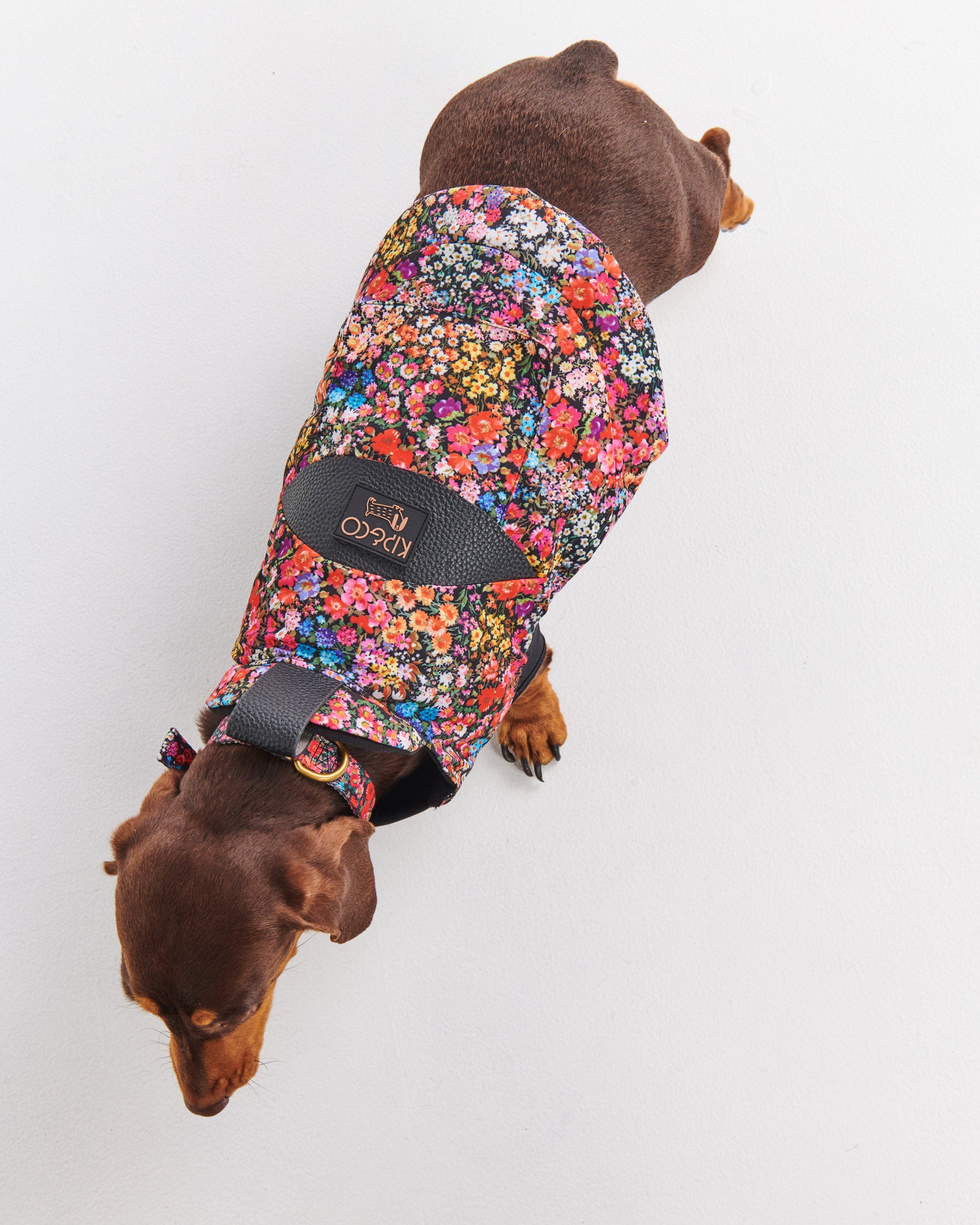Forever Floral Black Dog Jacket - Waterproof & Stylish Pet Coat for Small to Medium Dogs - Perfect for Outdoor Walks, Winter Protection & Fashionable Pet Apparel