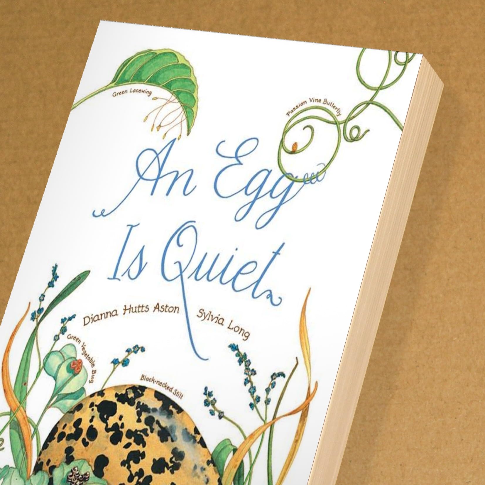 An Egg Is Quiet: Beautifully Illustrated Children's Picture Book About Eggs by Sylvia Long - Perfect for Storytime, Nature Education & Kids' Bedtime Reading
