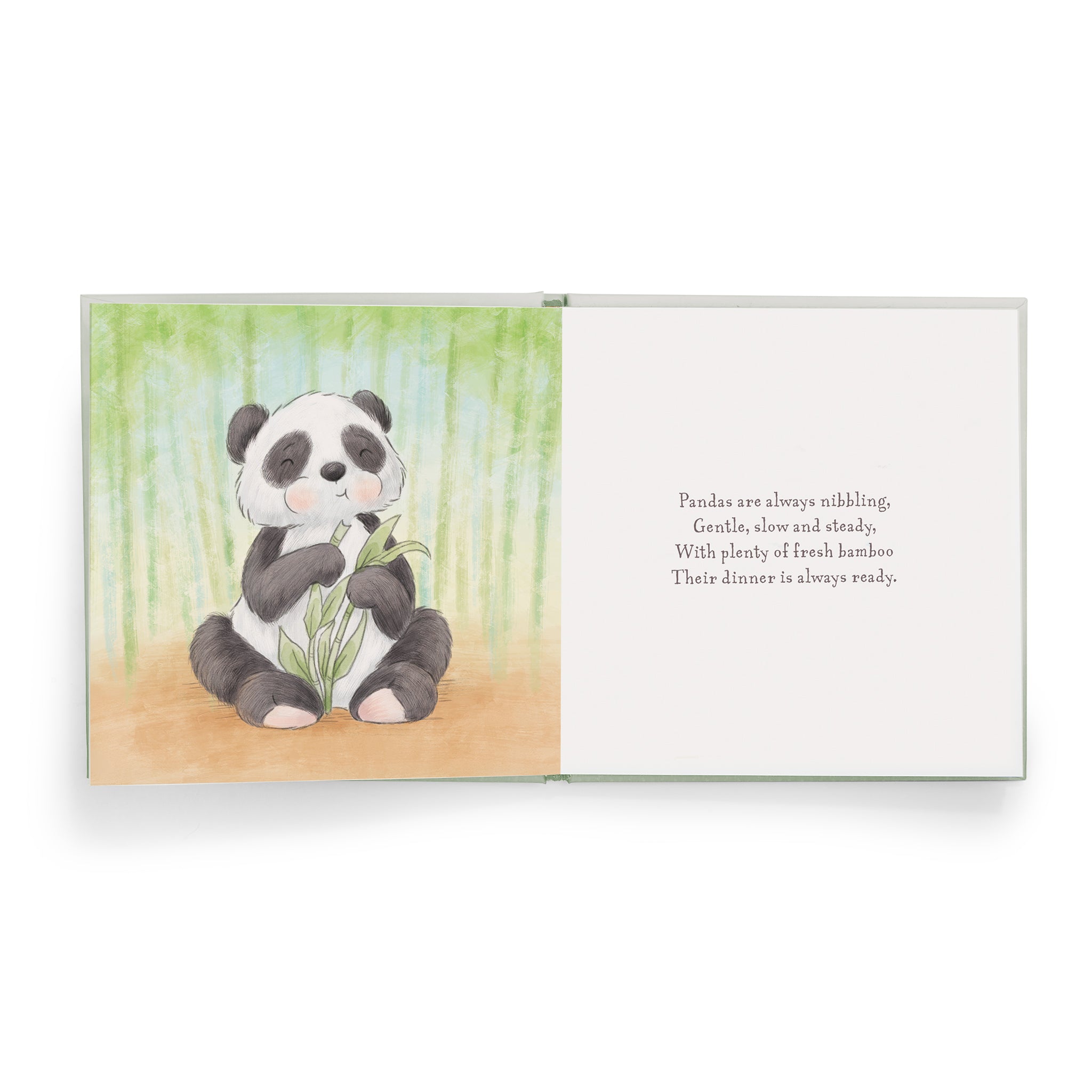 A Jungle Story Gift Set - Perfect for Baby Showers, Birthdays & Nursery Decor - Unique Jungle-Themed Present for Kids