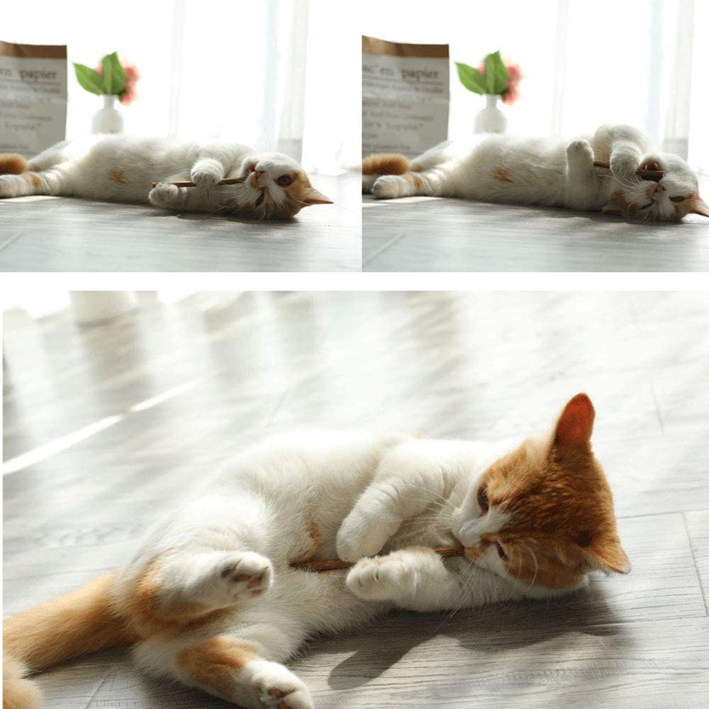 30Pcs Natural Matatabi Silvervine Cat Chew Sticks - Catnip Toys for Dental Care & Teeth Grinding - Kitten & Adult Cat Chew Toys for Stress Relief & Playtime - Perfect for Indoor Cats & Boredom Relief