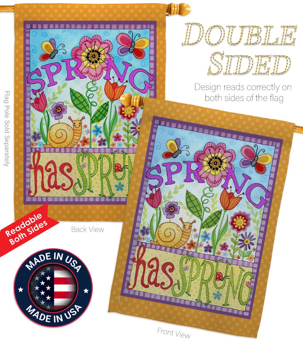 Spring Floral Bugs House Flag Set 28x40 with Pole - Outdoor Garden Decor