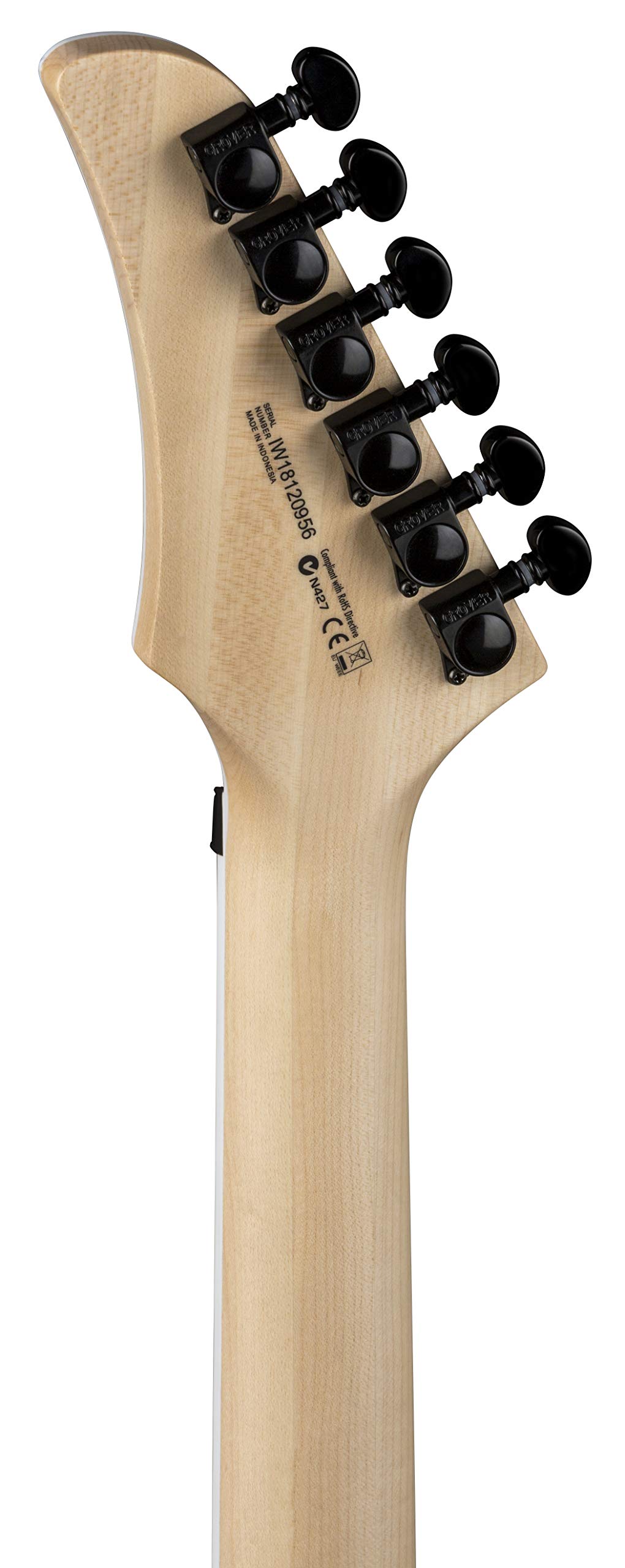 Dean Modern 24 Select Floyd Electric Guitar - Classic Black Finish with Rosewood Fingerboard | Perfect for Rock, Metal & Stage Performances | Includes Gig Bag, Strap & Picks
