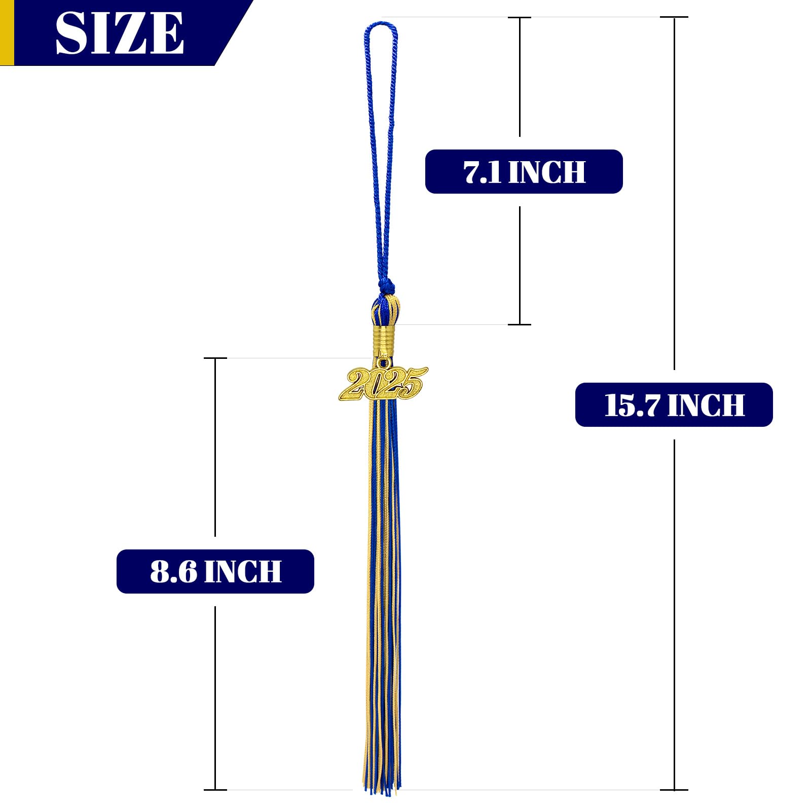 2025 Graduation Tassel - Royal Blue & Gold with 2025 Charm | Academic Ceremony Accessory for High School & College Graduates | Perfect for Commencement, Yearbook Photos & Graduation Parties