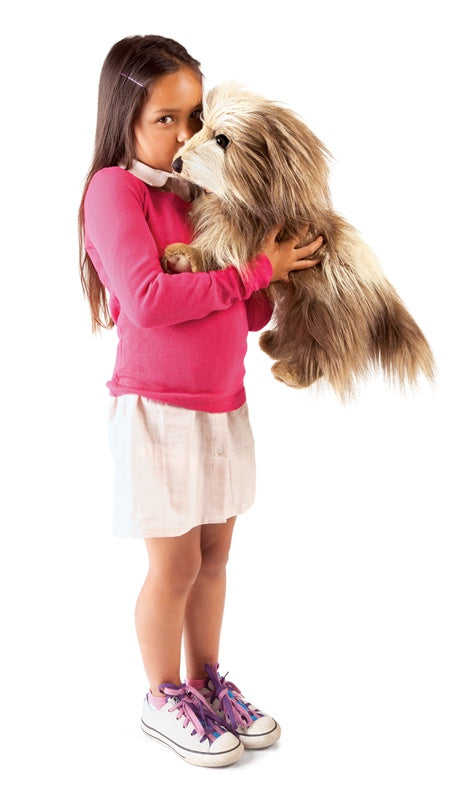 Folkmanis Shaggy Dog Hand Puppet - Realistic Plush Puppet for Kids, Storytelling, and Interactive Play - Perfect for Imaginative Play, Classroom Activities, and Family Bonding