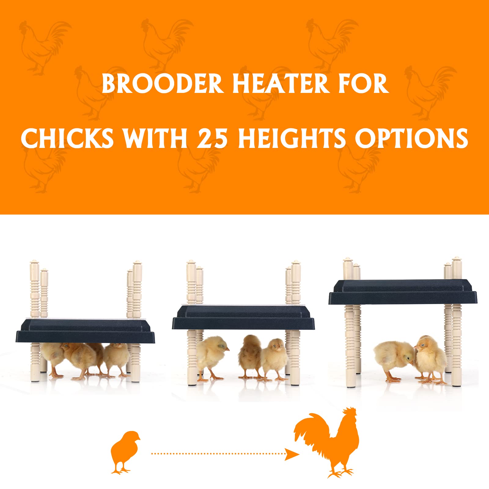 Brooder Heater for Chicks - 10