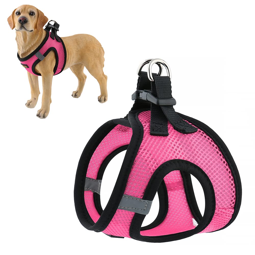 A Walk to Remember: The Adventure of Max and the Plutus Pet Step-in Dog Harness