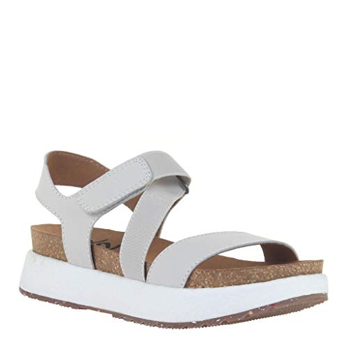 Dove Grey