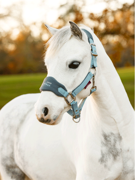 Premium Mini LeMieux Vogue Fleece Headcollar & Lead Rope Set for Horses - Soft & Comfortable Equestrian Training Gear for Show Jumping, Dressage & Trail Riding