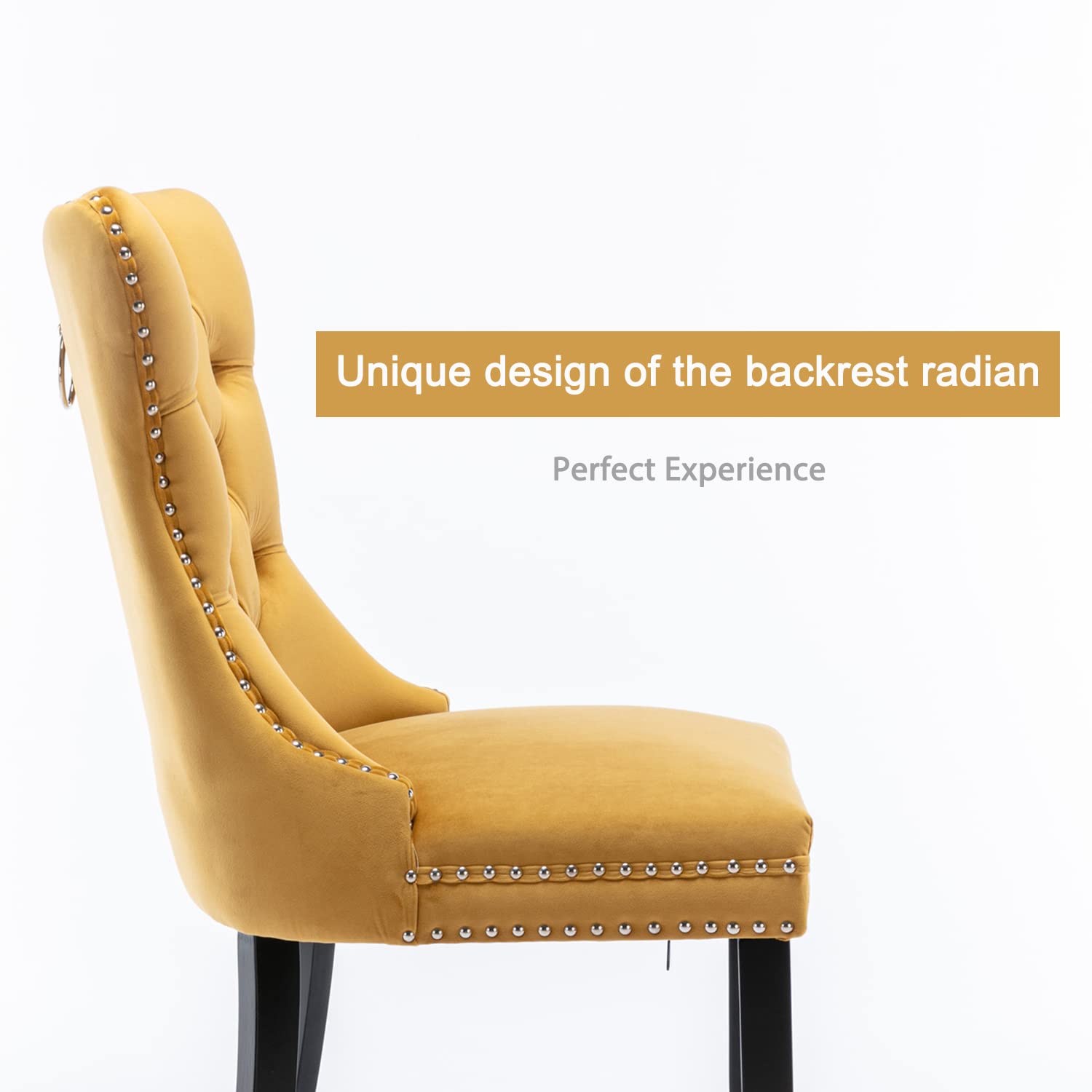 Luxury Velvet Dining Chairs Set of 2 - Tufted Upholstered Accent Chairs with Nailhead Trim & Solid Wood Frame - Elegant Gold Home Decor for Dining Room, Kitchen or Bedroom - Perfect for Entertaining, Family Meals & Cozy Breakfast Nooks