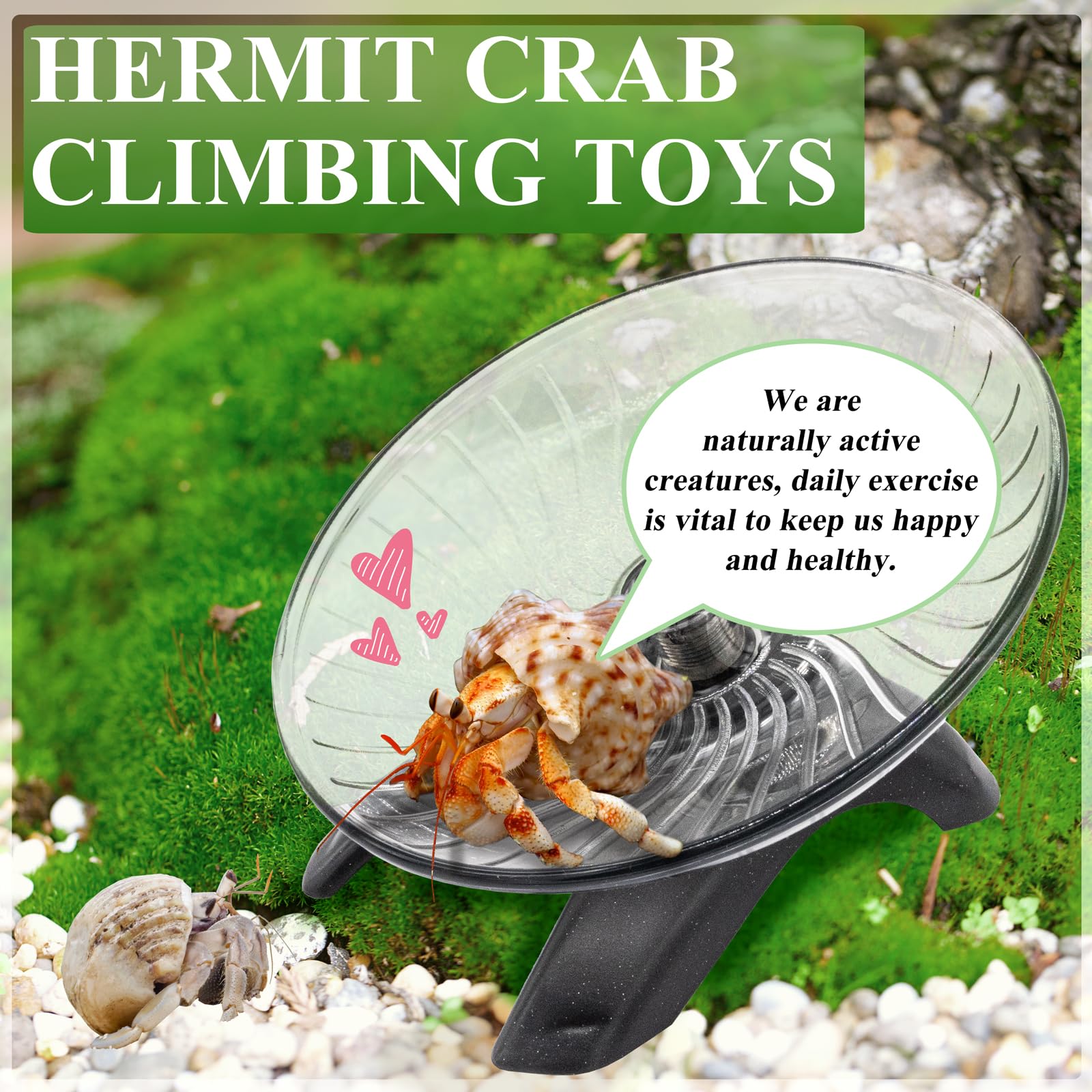 Silent Hermit Crab Exercise Wheel - Small Animal Running Wheel for Crab Tank, Hamster, Gerbil & Hedgehog Accessories - Perfect for Nocturnal Pets & Terrarium Enrichment