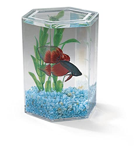 Lee's Bulk Betta Hexagon Fish Tank - Premium Acrylic Aquarium for Betta Fish, Small Aquatic Pets - Perfect for Home, Office, or Classroom Decor