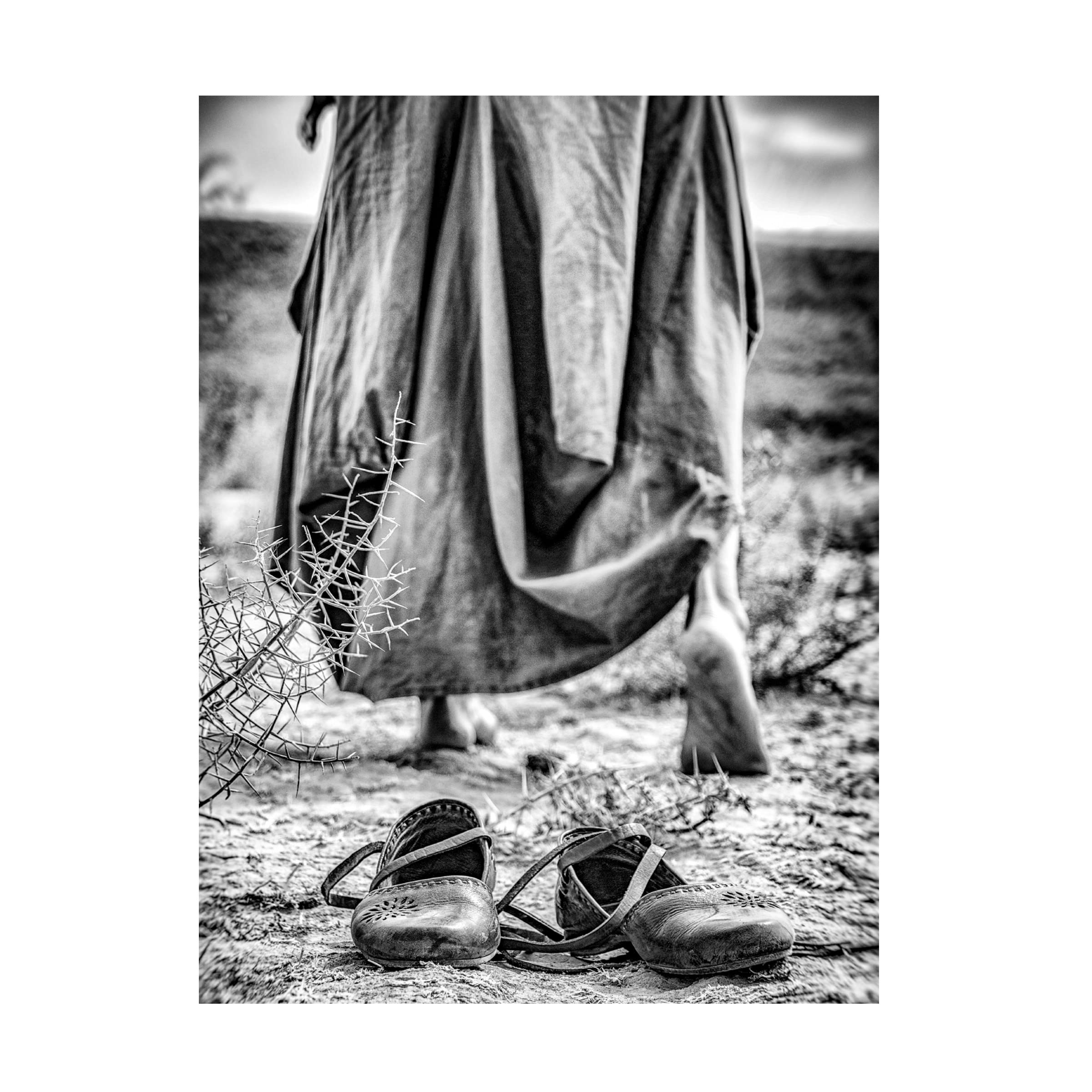 Trademark Fine Art 'Passenger' Canvas Wall Art by Afshin Saeidinia - Modern Home Decor for Living Room, Bedroom & Office