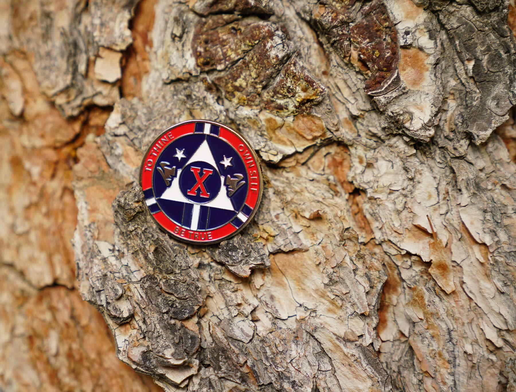 Red and Blue Double Patriot Yearly AA Medallion with Coin Capsule - Alcoholics Anonymous AA Chip for 1-50 Years Sobriety - Perfect for Recovery Milestones, Meetings & Gifts | MyRecoveryStore