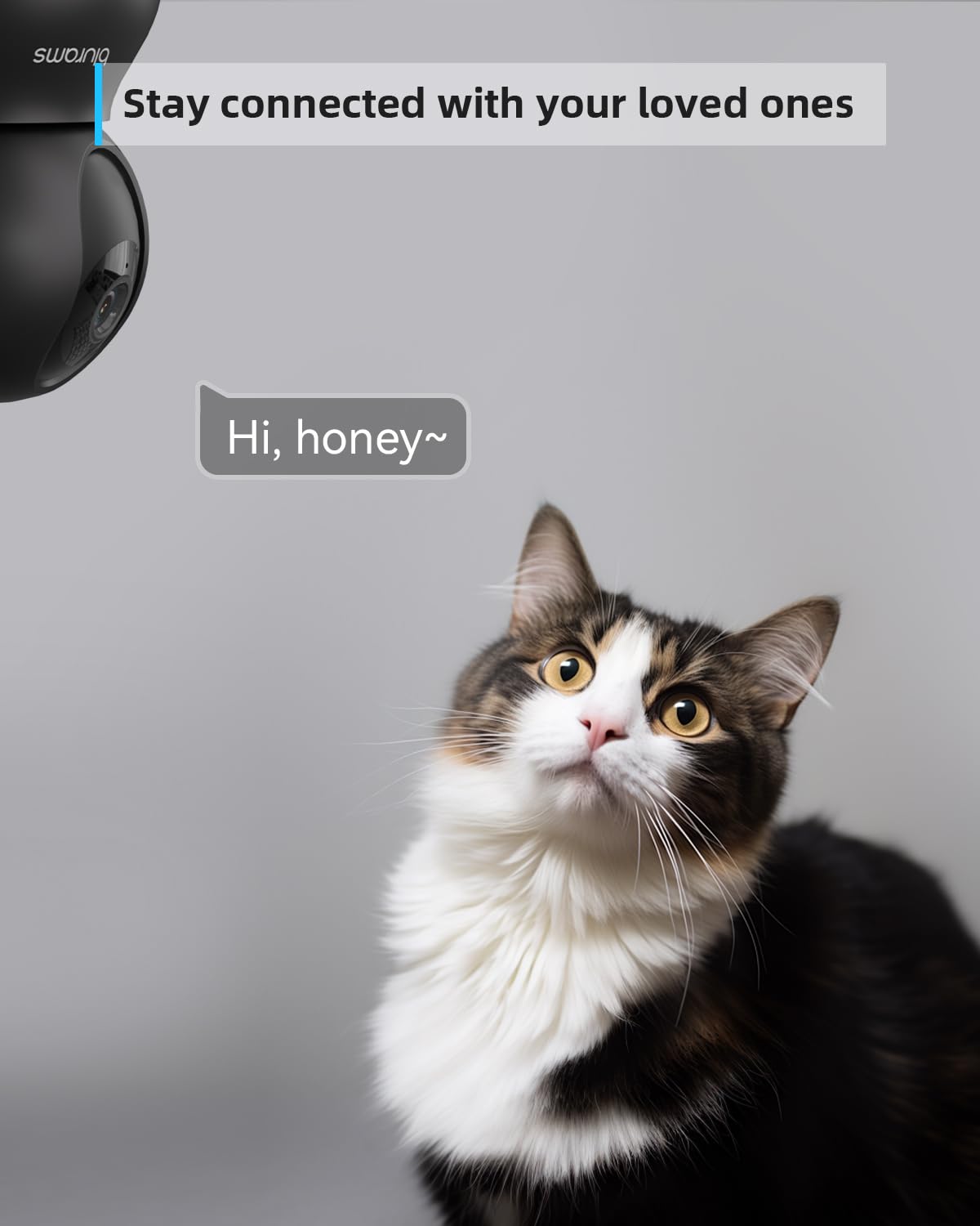 Blurams 2K Pet Camera with Night Vision & Motion Tracking - 360° Indoor Security Camera for Dogs, 2-Way Audio, Cloud/SD Storage, Alexa Compatible - Perfect for Home Monitoring & Pet Care