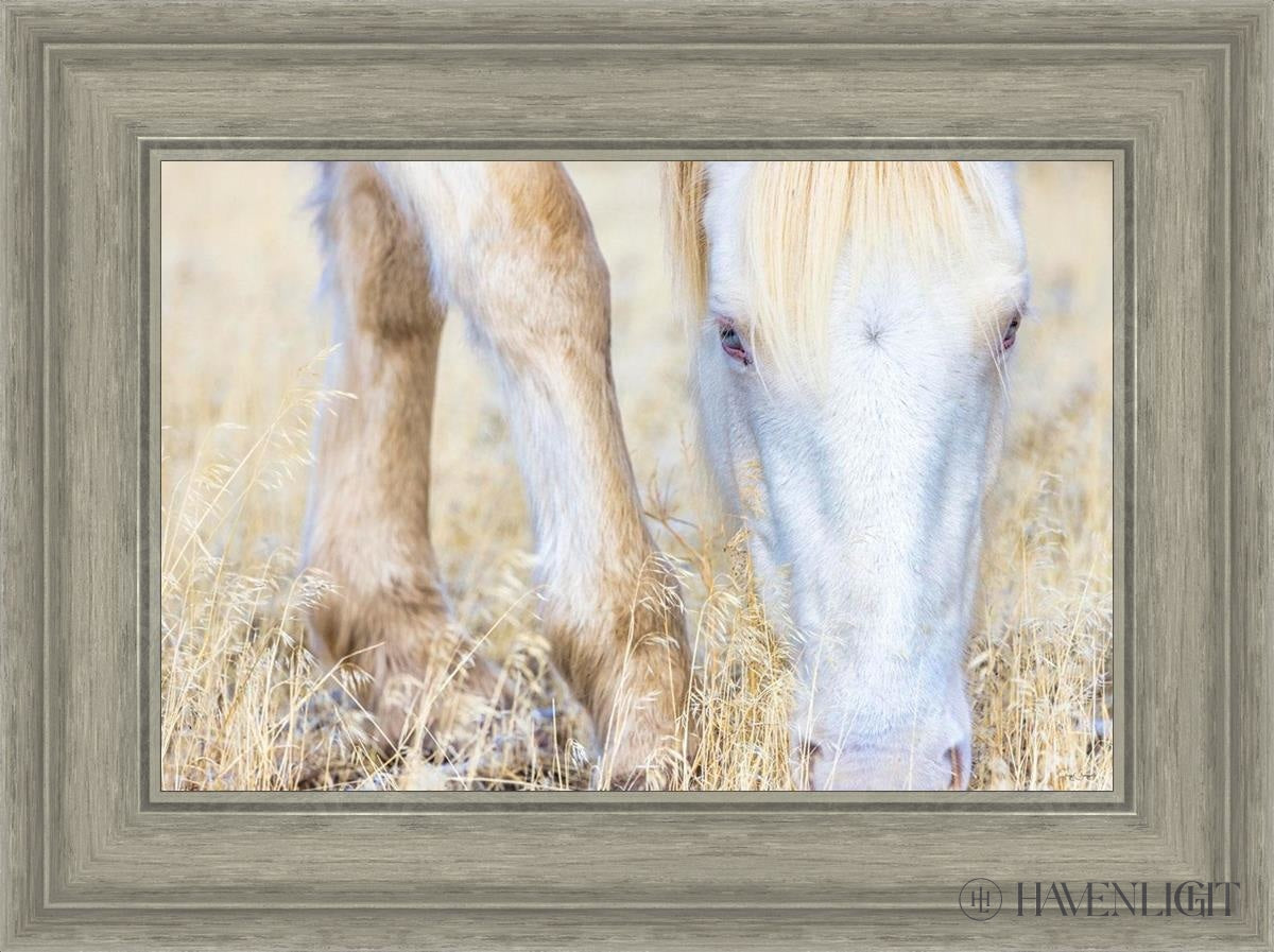 Dry Grass by Greg Sargent - Premium Handcrafted Home Decor for Rustic & Farmhouse Style - Perfect for Wall Art, Shelf Displays & Cozy Living Room Decor