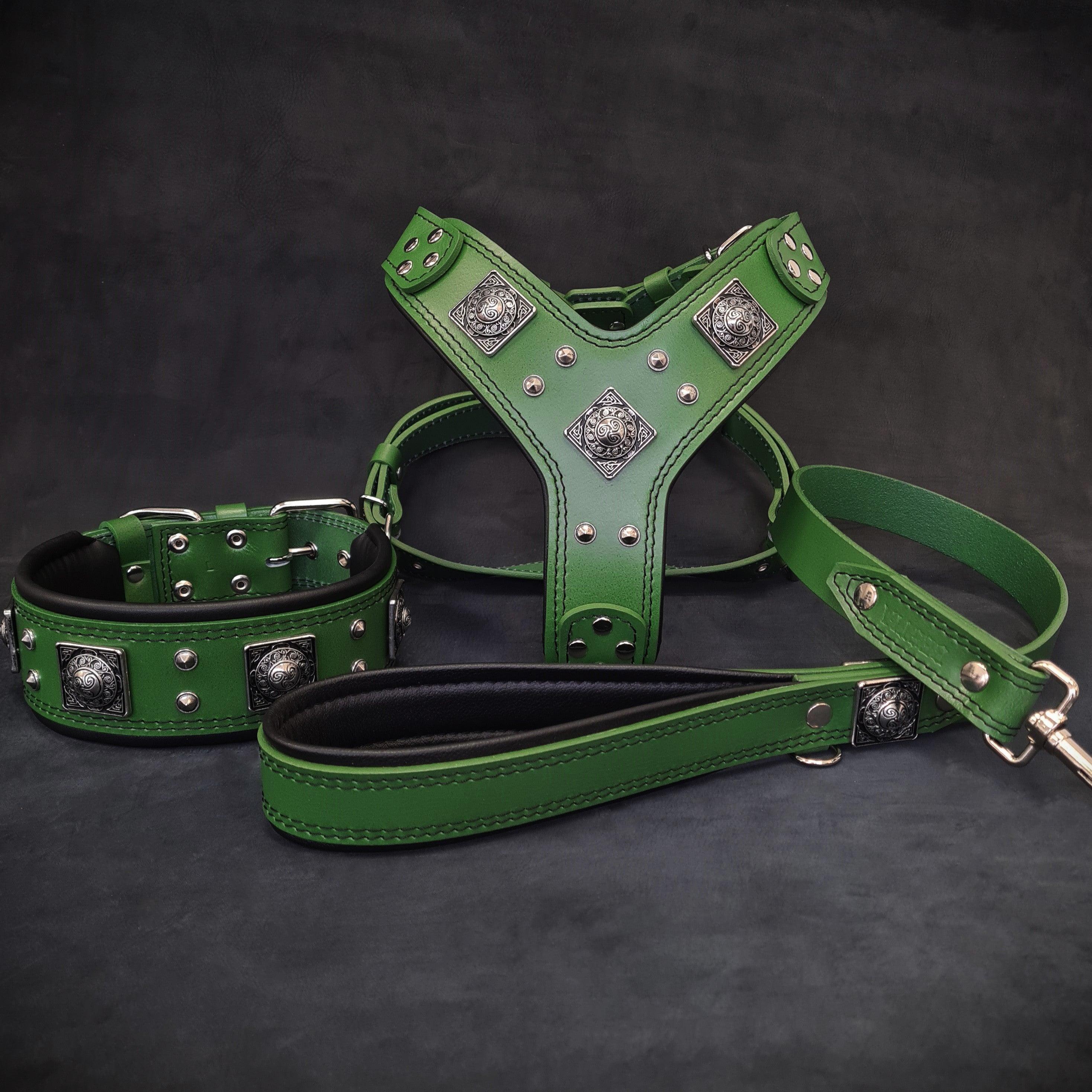 EROS BIG Dog Harness, Collar & Lead Set - Green | Durable Pet Walking Gear for Large Dogs | Perfect for Outdoor Adventures & Daily Walks
