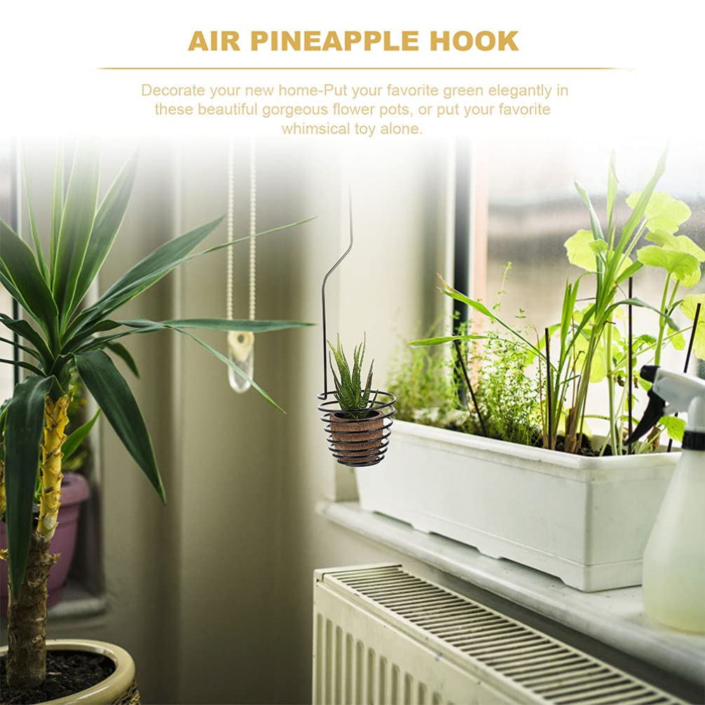 2 Pack Modern Iron Air Plant Hooks - Pineapple Design Hanging Display Rack for Tillandsia Plants, Succulents & Home Decor - Perfect for Living Room, Bedroom, Office & Indoor Garden Decor