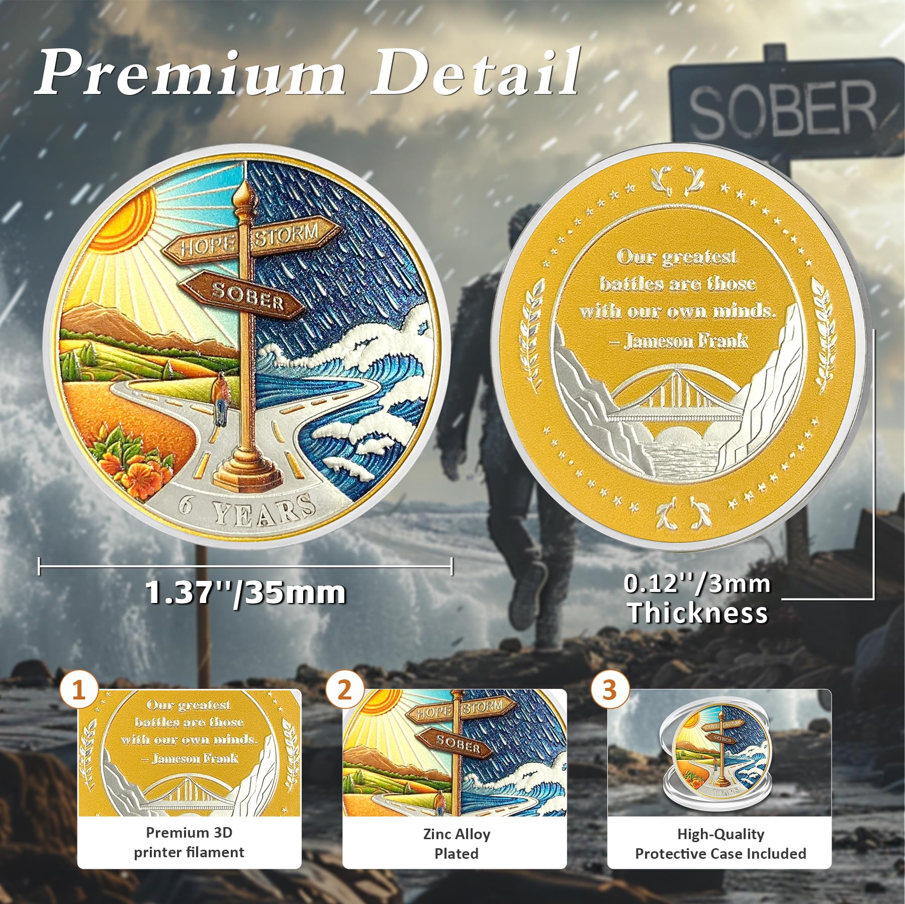 6 Year Sobriety Coin - AA Medallion for Addiction Recovery | Hope Signpost Reborn from Storm | NA AA Chips 1-10 Years | Celebrate Sobriety Gift for Men & Women in Alcoholics/Narcotics Anonymous - Perfect for Milestone Anniversaries & Support Group Meetings