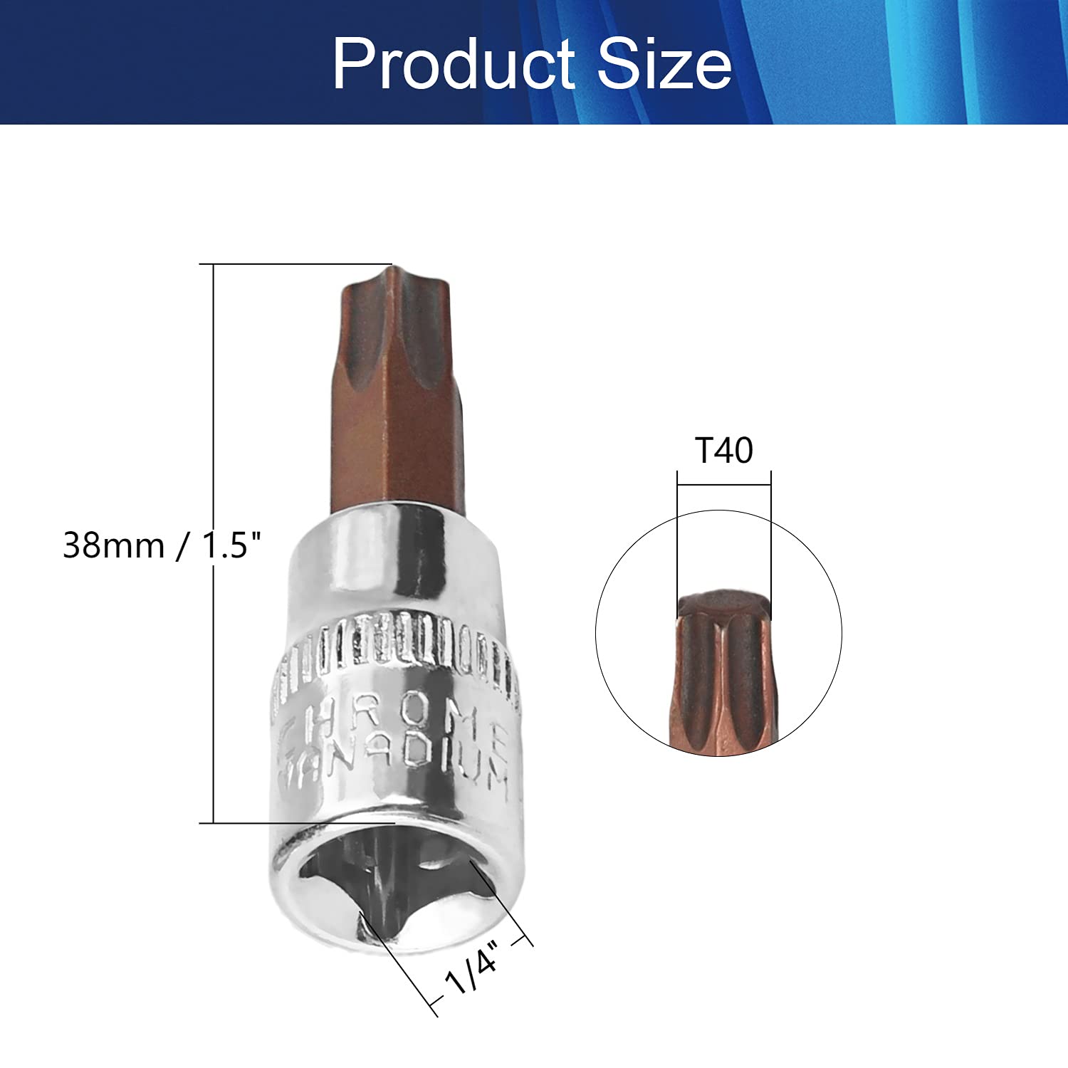 1/4 Inch Drive Torx Bit Socket Set - T40 Standard & Metric Premium S2 Alloy Steel Bits for Automotive, DIY & Mechanical Repairs