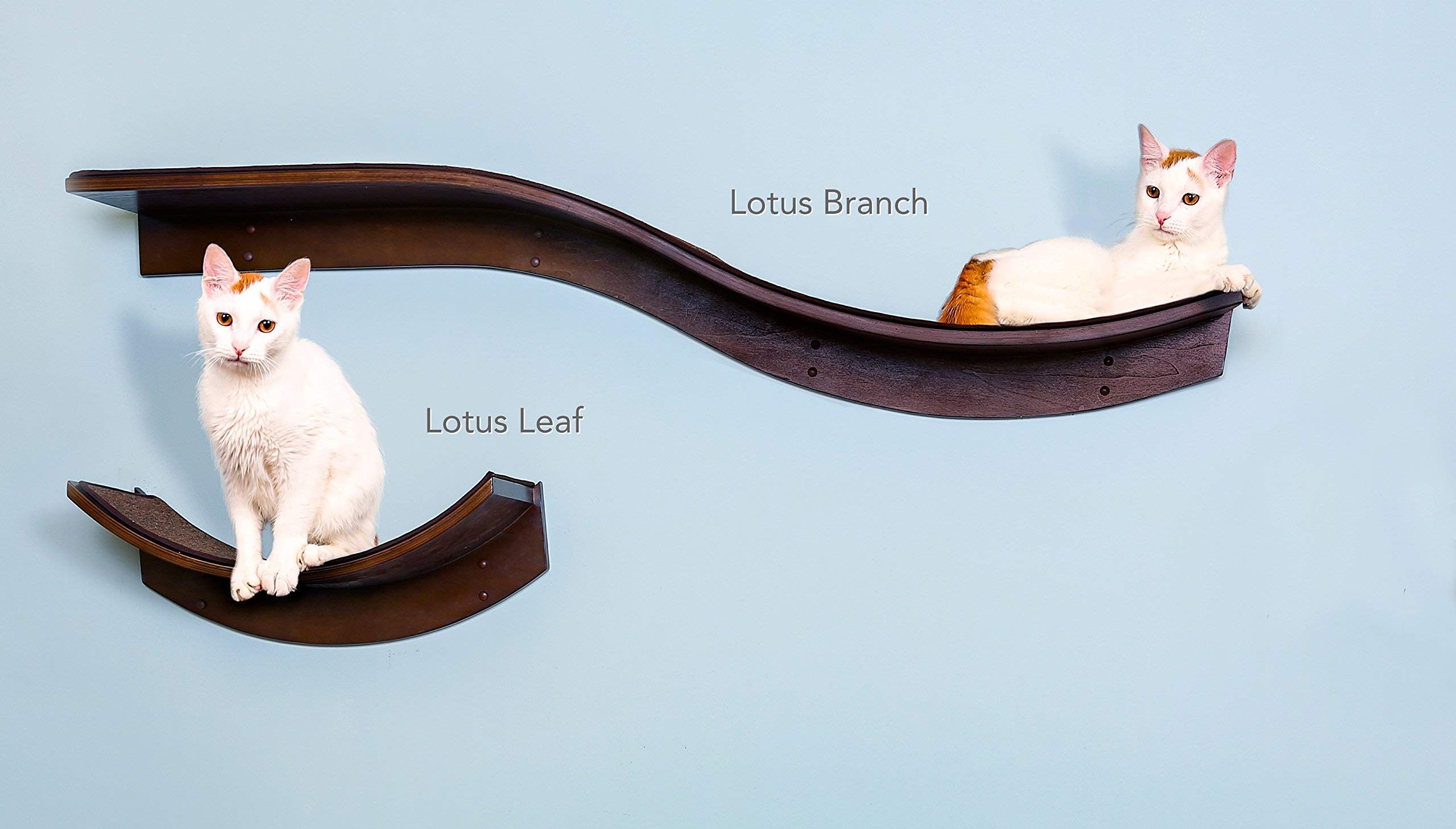 The Refined Feline Lotus Leaf Cat Shelf - Modern Sturdy Curved Wall Perch for Cats, Elegant Wood Wall-Mounted Cat Bed Furniture - Perfect for Small Spaces & Cat Climbing Enrichment