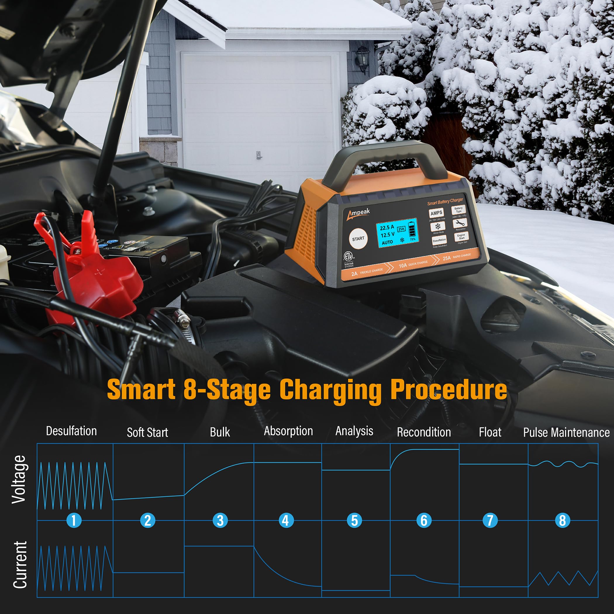 Ampeak 12V 25A Fully Automatic Car Battery Charger with Winter Mode & Auto Desulfator - Smart Charger for All Lead-Acid Batteries (Cars, Trucks, SUVs, Motorcycles, Boats) - Ideal for Cold Weather & Battery Maintenance