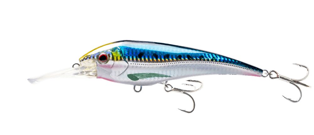 Sardine