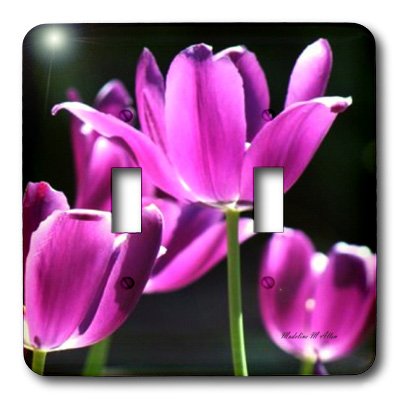 3D Toggle Switch - Sun Kissed Purple Double Rocker Switch for Home & Office Decor - Perfect for Bedroom, Living Room, and DIY Projects