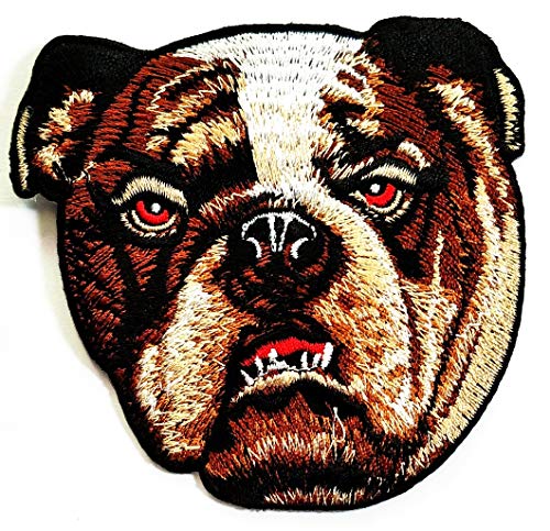 Pitbull38