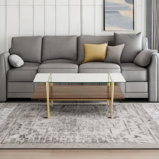 Saint Mossi Tadio Modern Glass Coffee Table - Clear Double Layer Design with Coffee Brown Bottom Shelf for Living Room | Perfect for Lounge, Family Gatherings & Home Decor
