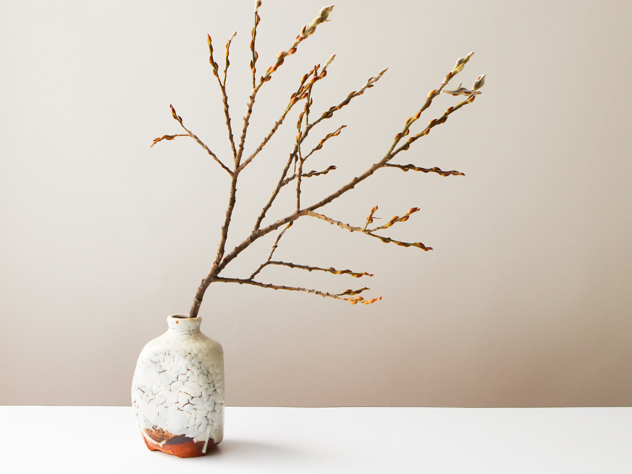 Modern Glass Cloud Vase - Elegant Home Decor for Living Room, Wedding Centerpiece, and Floral Arrangements