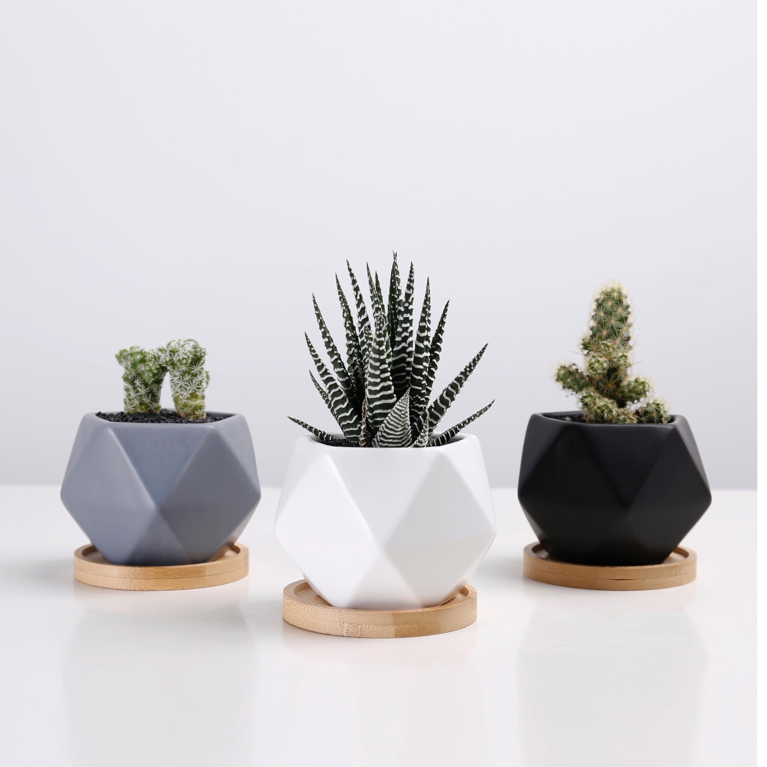 Modern Geometric Ceramic Succulent Pots 3 Inch Small Planters with Drainage Hole & Bamboo Tray - Set of 3 for Home Office Desk Decor, Indoor Plants, and Gift Ideas