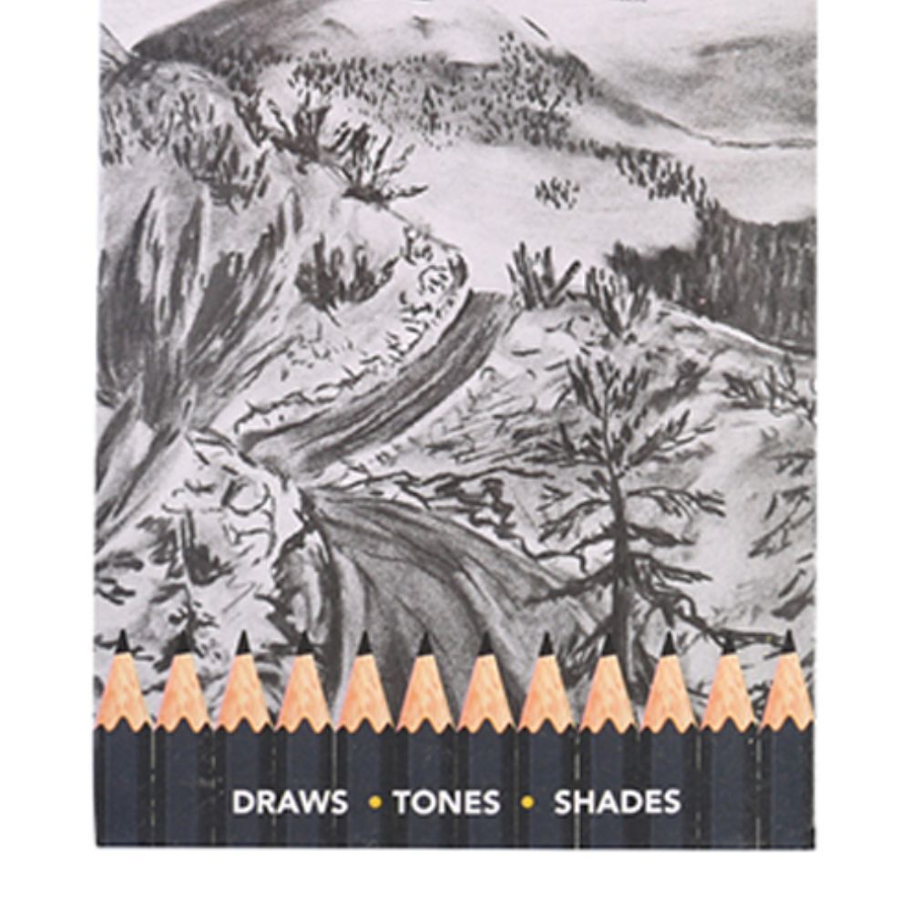 12-Piece Studio Works Premium Charcoal Pencils for Artists - Deep Tone Sketching & Shading - Perfect for Drawing, Sketching, and Professional Artwork